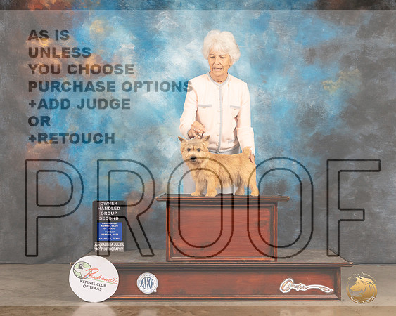 Norwich Terrier #6 Sun OHG2 Judge Robert Richardson R-MMJ_2933-Amarillo2021