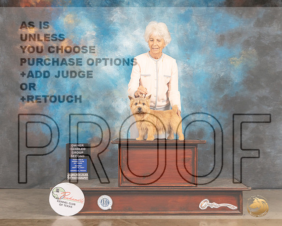 Norwich Terrier #6 Sun OHG2 Judge Robert Richardson R-MMJ_2934-Amarillo2021