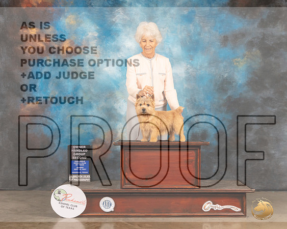 Norwich Terrier #6 Sun OHG2 Judge Robert Richardson R-MMJ_2937-Amarillo2021