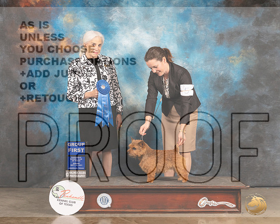 Nowrich Terrier #5 Sun G1 Judge Jan Paulk r-MMJ_2876-Amarillo2021