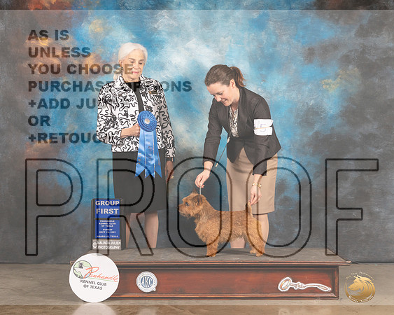 Nowrich Terrier #5 Sun G1 Judge Jan Paulk r-MMJ_2878-Amarillo2021