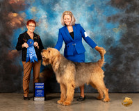 Otterhound #5 Sun G1 Judge Ann Meyer