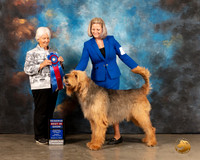 Otterhound #5 Sun RBIS Judge Gloria Kerr