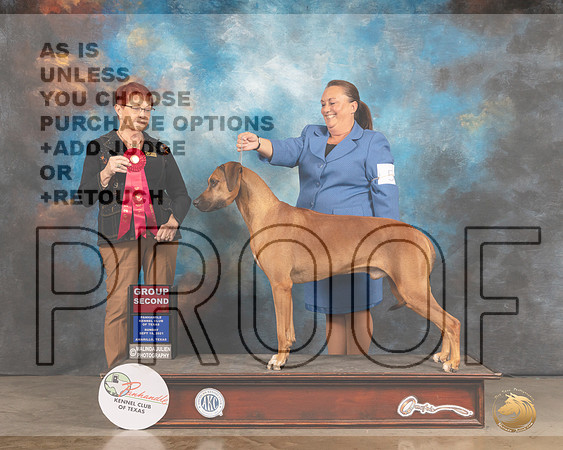 Rhodesian Ridgeback #5 Sun G2 Judge Ann Meyer-MMJ_2918-Amarillo2021