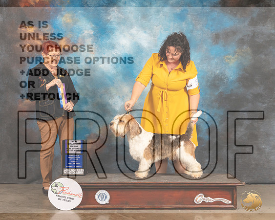 PBGV #5 Sun BOB Judge Ann Meyer-MMJ_2916-Amarillo2021