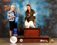 Papillon #5 Sun G1 Judge Jan Paulk