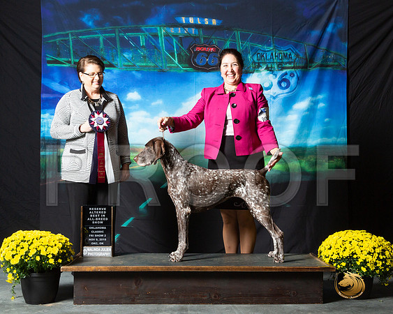German Shorthaired Pointer Fri2 Jeannie Dunaway Judge Melissa Kidd__ST_0331-OKC2018-HR3