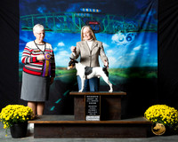 Rat Terrier #280 Fri S2 RBIS Beth Amico Judge Mary Meek
