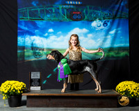 Bluetick Coonhound #368 Sat S2 BOB G3 Jerri Loveland