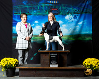 Rat Terrier #208 Sat S1 G1 Judge Melissa Kidd