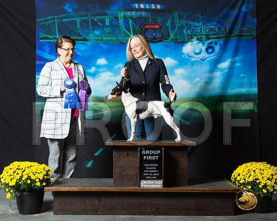 Rat Terrier #208 Sat S1 G1 Judge Melissa Kidd__ST_0363-OKC2018-HR3