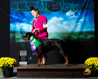 Rottweiler #349 Sat S2 Christina Taylor BOB G3