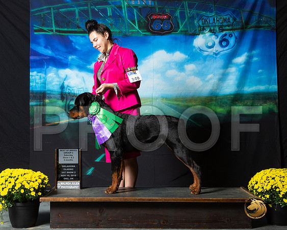 Rottweiler #349 Sat S2 Christina Taylor BOB G3__ST_0370-OKC2018-HR3