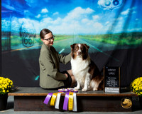 Australian Shepherd Sat S2 UROC URX Terri Rein Dhanna Fischer