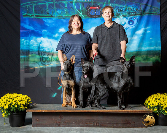 German Shepherd Dogs Puppies__ST_0398e1-OKC2018-HR3