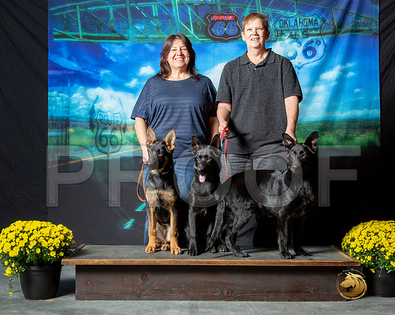 German Shepherd Dogs Puppies__ST_0399e1-OKC2018-HR3