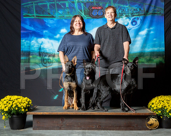 German Shepherd Dogs Puppies__ST_0398-OKC2018-HR3