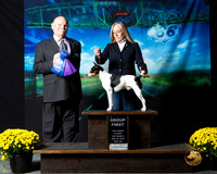 Rat Terrier #208 Sat S2 G1 Beth Amico Judge Larry Hansen