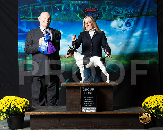 Rat Terrier #208 Sat S2 G1 Beth Amico Judge Larry Hansen__ST_0410-OKC2018-HR3