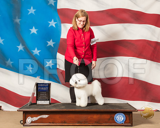 Bichon Frise #9 Sat G1 Judge Alan SantosSSR_4994-CyCreek2018-HR3