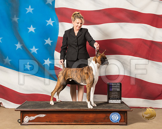 Boxer #11 Sat NC WD RESHOOT +Judge Dale MeyerSSR_4941-CyCreek2018-HR3