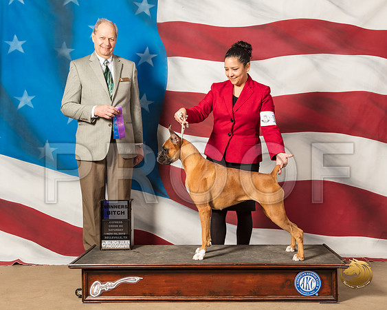 Boxer #12 Sat WB Judge Dale MeyerSSR_4821-CyCreek2018-HR3