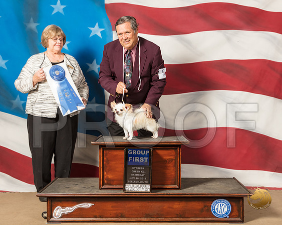 Chihuahua Long #5 Sat G1 Judge Janie BousekSSR_5022-CyCreek2018-HR3