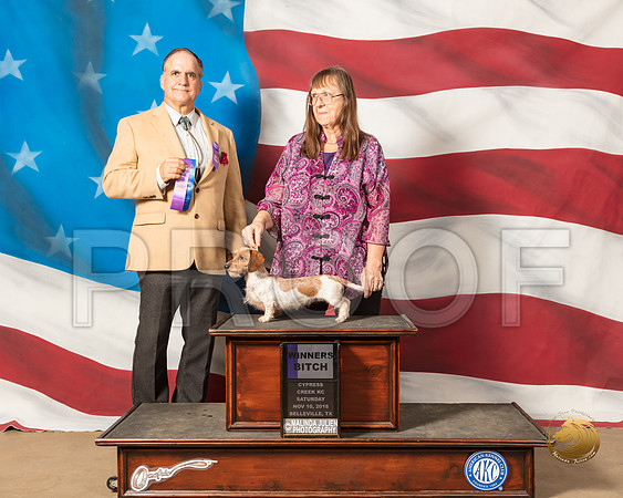 Dachshund Wire #8 Sat WB Judge Ronald LukinsSSR_4830-CyCreek2018-HR3