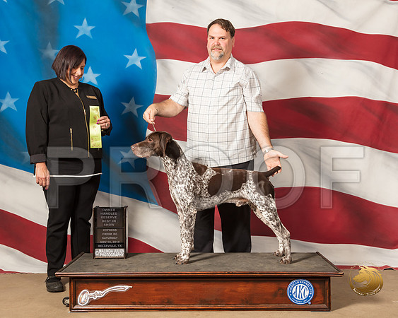 German Shorthaired #9 Sat OH RBIS Judge Janet CohenSSR_5035-CyCreek2018-HR3