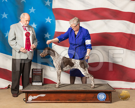 German Shorthaired Pointer #8 Sat G2 Judge Alan SantosSSR_4960-CyCreek2018-HR3
