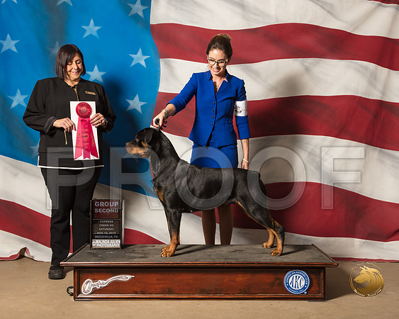 Rottweiler #6 Sat G2 Judge Janet CohenSSR_4908-CyCreek2018-HR3