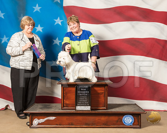 West Highland White Terrier #12 Sat MAJ WB Judge Janie BousekSSR_4923-CyCreek2018-HR3