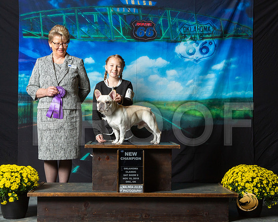 French Bulldog Sat S2 NCh BOB Amelia Judge Debra Allen__ST_0490-OKC2018-HR3