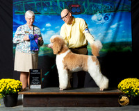 Poodle Std # Sat S2 G1Judge Mary Meek