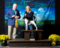 Rat Terrier #208 Sat S2 Judge Rick Gann