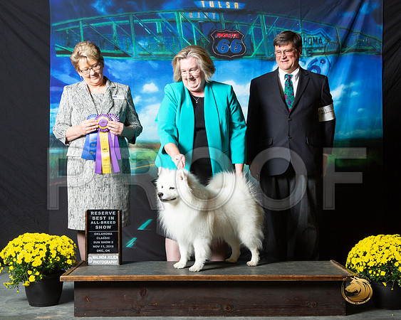 American Eskimo Sun S2__ST_0733-OKC2018-HR3