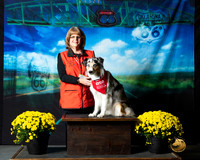 Australian Shepherd Red Cross Hazel