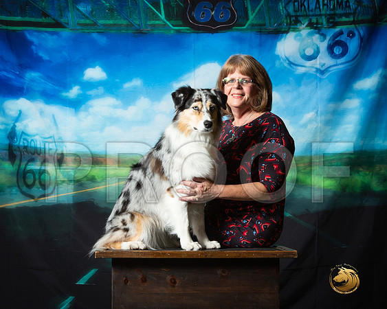 Australian Shepherd Sun S2 Custom__ST_0769-OKC2018-HR3