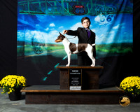 Rat Terrier RESHOOT