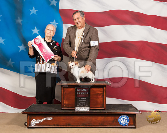 Chihuahua Long #5 Sun G2 Judge Erika MoureauSSR_5201-CyCreek2018-HR3