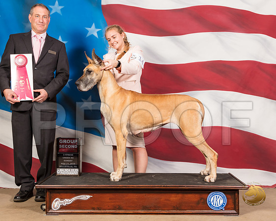 Great Dane #14 Sun G2 Judge Andrew RitterSSR_5174-CyCreek2018-HR3