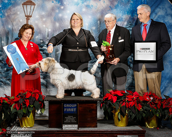 _ST_8753-2-DallasDec2014-HR3