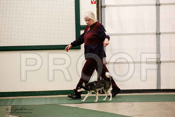 _JN_1403-NrmnNov2014-HR3