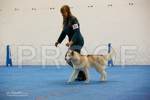_M3_0584-AddisonHuskyMar2015-HR3