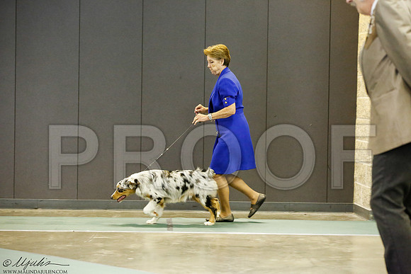 _J3L8964-BeltSep2014-HR