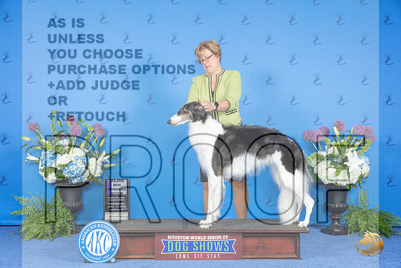 Borzoi #30 THUR HA WB M Judge Marilyn Pipes__JP_8147_Houston_2024_HR3