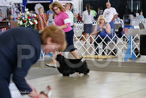 _JJ_1278-DallasJul2014-HR3