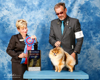 Pomeranian #7 Mon RBIS Bird Bonnie A Udomisin Littichkun Agent Curtiss Smith Judge Susan Godek