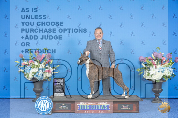 Boxer #40 SAT WB M Judge Debbie Freeman__JP_9717_Houston_2024_HR3