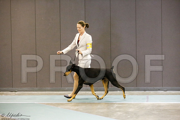 _J3L3302-BeltSep2014-HR